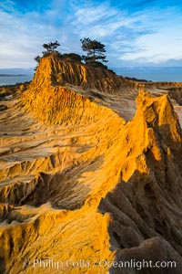 Torrey Pines State Reserve, Broken Hill at Dawn, San Diego, California