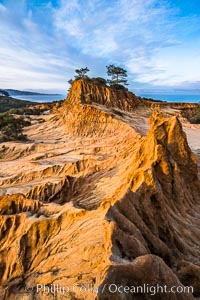 Torrey Pines State Reserve, Broken Hill at Dawn, San Diego, California