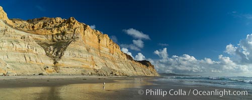 Torrey Pines cliffs, Torrey Pines State Reserve, San Diego, California