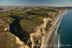 Torrey Pines golf course, situated atop the magnificent 300 foot tall seacliffs, offers majestic views of the Pacific Ocean south to La Jolla.  Scattered around the course are found Torrey pine trees, one of the rare species of pines in the world.  Some of La Jolla's biotechnology companies are seen on the far side of the golf course, along North Torrey Pines Road, San Diego, California