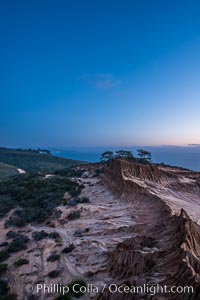 Torrey Pines State Reserve at Night, stars and clouds fill the night sky with the lights of La Jolla visible in the distance, San Diego, California