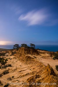 Torrey Pines State Reserve at Night, stars and clouds fill the night sky with the lights of La Jolla visible in the distance, San Diego, California