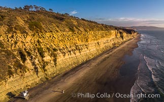 Torrey Pines seacliffs, rising up to 300 feet above the ocean, stretch from Del Mar to La Jolla. On the mesa atop the bluffs are found Torrey pine trees, one of the rare species of pines in the world, Torrey Pines State Reserve, San Diego, California