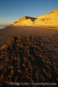 Torrey Pines State Beach, sandstone cliffs rise above the beach at Torrey Pines State Reserve, San Diego, California