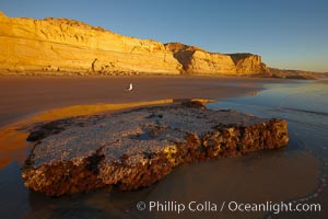 Torrey Pines State Beach, sandstone cliffs rise above the beach at Torrey Pines State Reserve, San Diego, California