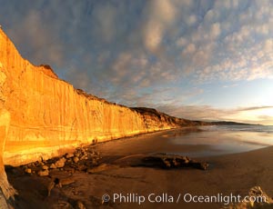 Torrey Pines State Beach, sandstone cliffs rise above the beach at Torrey Pines State Reserve, San Diego, California