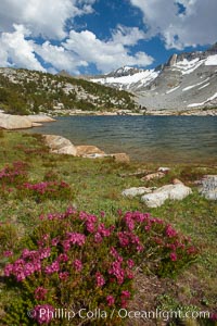 Townsley Lake (10396'), a beautiful alpine lake sitting below blue sky, clouds and Fletcher Peak (right), lies amid the Cathedral Range of glacier-sculpted granite peaks in Yosemite's high country, near Vogelsang High Sierra Camp, Yosemite National Park, California