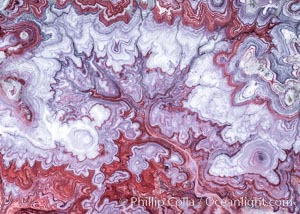 The Tree of Eons, a spectacular dendritic formation in the Bentonic Hills of Utah. Fantastic colorful sedimentary patterns, ancient Bentonite layers are exposed through erosion in the Utah Badlands. The Bentonite Hills are composed of the Brushy Basin shale member of the Morrison Formation. This layer was formed during Jurassic times when mud, silt, fine sand, and volcanic ash were deposited in swamps and lakes.  Photographed just before sunrise with soft pre-dawn illumination. Aerial panoramic photograph.