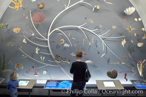 Visitors admire the Tree of Life display at the Milstein Hall of Ocean Life, American Museum of Natural History, New York City