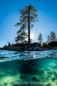 Trees and rocks in Lake Tahoe, Sand Harbor State Park