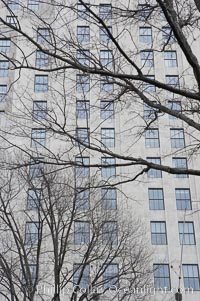 Trees and buildings, winter, Manhattan, New York City