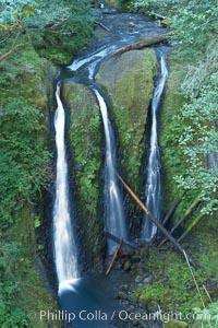 Triple Falls, in the upper part of Oneonta Gorge, fall 130 feet through a lush, beautiful temperate rainforest. Columbia River Gorge National Scenic Area, Oregon, USA, natural history stock photograph, photo id 19329