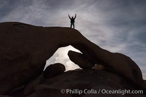 Triumphant Guy Atop Arch Rock in Full Moon, Joshua Tree National Park, California