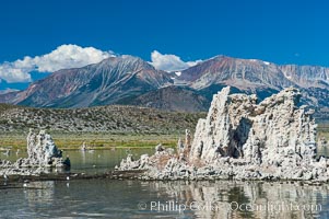 Tufa towers rise from Mono Lake with the Eastern Sierra visible in the distance.  Tufa towers are formed when underwater springs rich in calcium mix with lakewater rich in carbonates, forming calcium carbonate (limestone) structures below the surface of the lake.  The towers were eventually revealed when the water level in the lake was lowered starting in 1941.  South tufa grove, Navy Beach