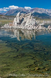 Tufa towers rise from Mono Lake with the Eastern Sierra visible in the distance.  Tufa towers are formed when underwater springs rich in calcium mix with lakewater rich in carbonates, forming calcium carbonate (limestone) structures below the surface of the lake.  The towers were eventually revealed when the water level in the lake was lowered starting in 1941.  South tufa grove, Navy Beach