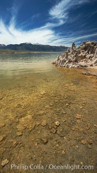 Tufa towers rise from Mono Lake. Tufa towers are formed when underwater springs rich in calcium mix with lakewater rich in carbonates, forming calcium carbonate (limestone) structures below the surface of the lake. The towers were eventually revealed when the water level in the lake was lowered starting in 1941. South tufa grove, Navy Beach