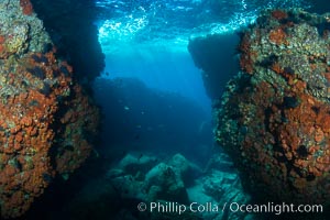 The Tunnel at Los Islotes, Sea of Cortez