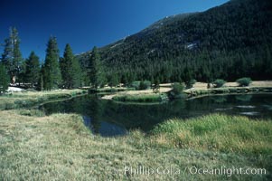 Tuolumne Meadows, Yosemite National Park, California