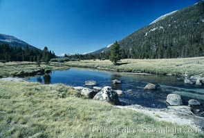 Tuolumne Meadows, Yosemite National Park, California