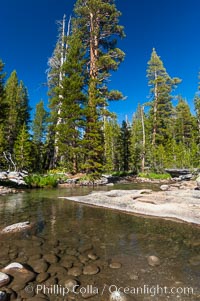 The Tuolumne River in late summer.  Tuolumne Meadows, Yosemite National Park, California