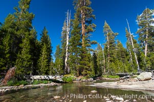 The Tuolumne River in late summer.  Tuolumne Meadows, Yosemite National Park, California