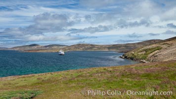 Typical grasslands of the Falkland Islands, with icebreak ship M/V Polar Star at anchor just offshore, New Island