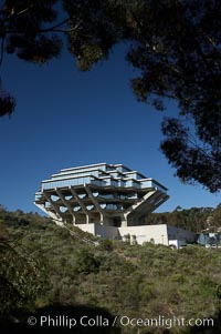 The UCSD Library (Geisel Library, UCSD Central Library) at the University of California, San Diego.  UCSD Library.  La Jolla, California.  On December 1, 1995 The University Library Building was renamed Geisel Library in honor of Audrey and Theodor Geisel (Dr. Seuss) for the generous contributions they have made to the library and their devotion to improving literacy.  In The Tower, Floors 4 through 8 house much of the Librarys collection and study space, while Floors 1 and 2 house service desks and staff work areas.  The library, designed in the late 1960s by William Pereira, is an eight story, concrete structure sited at the head of a canyon near the center of the campus. The lower two stories form a pedestal for the six story, stepped tower that has become a visual symbol for UCSD