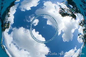 Underwater bubble ring, a stable toroidal pocket of air