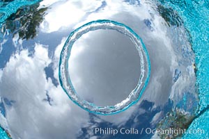 Underwater bubble ring, a stable toroidal pocket of air., natural history stock photograph, photo id 25284