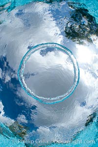 Underwater bubble ring, a stable toroidal pocket of air