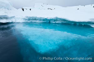 The underwater edge of an iceberg, with a few Adelie penguins on it.