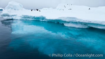 The underwater edge of an iceberg, with a few Adelie penguins on it, Brown Bluff