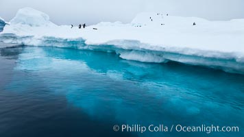 The underwater edge of an iceberg, with a few Adelie penguins on it, Brown Bluff