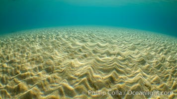 Underwater Light and Sand, Lake Tahoe, Nevada