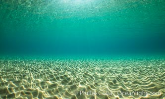 Underwater Light and Sand, Lake Tahoe, Nevada