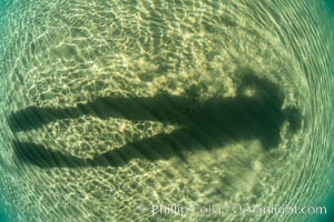 Underwater Light and Sand, Lake Tahoe, Nevada