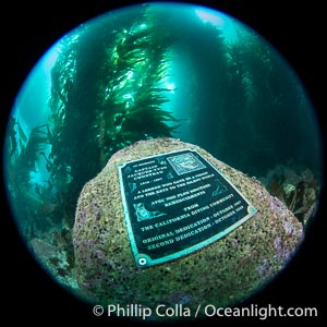 Underwater Plaque Honoring Jacques Cousteau at the Casino Point Dive Park, Avalon, Catalina Island