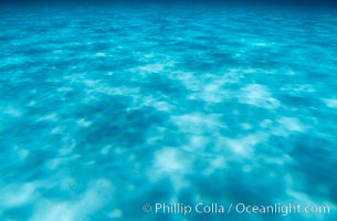 Abstract trochoidal light patterns on white sand, underwater, Bahamas.