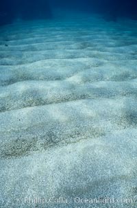 Sand and light, shallows, Sea of Cortez, Mexico.