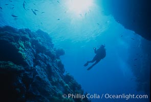 Underwater seascape, Church Rock, Guadalupe Island, Mexico, Guadalupe Island (Isla Guadalupe)