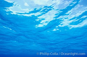 The ocean surface, seen from underwater, ripples with waves and wind and bright sunlight