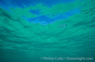 Water patterns, Bahamas.