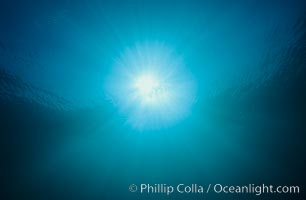 Underwater sunlight and light beams, California.