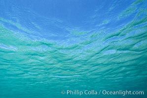 The ocean surface, seen from underwater, ripples with waves and wind and bright sunlight.
