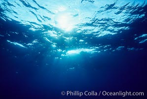 The ocean surface, seen from underwater, ripples with waves and wind and bright sunlight