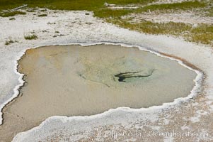 Unnamed spring or pool, Geyser Hill, Upper Geyser Basin, Yellowstone National Park, Wyoming