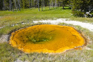 Unnamed spring or pool, Geyser Hill, Upper Geyser Basin, Yellowstone National Park, Wyoming