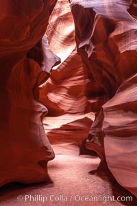 Antelope Canyon, a deep narrow slot canyon formed by water and wind erosion, Navajo Tribal Lands, Page, Arizona