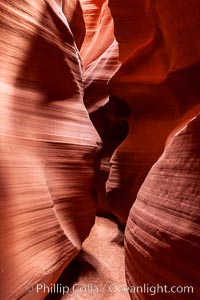 Antelope Canyon, a deep narrow slot canyon formed by water and wind erosion, Navajo Tribal Lands, Page, Arizona