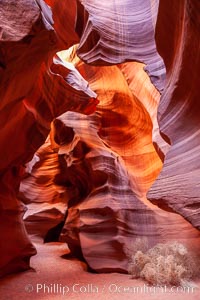 Fantastic light in Upper Antelope Slot Canyon, Arizona.